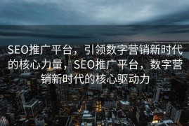 SEO推广平台，引领数字营销新时代的核心力量，SEO推广平台，数字营销新时代的核心驱动力
