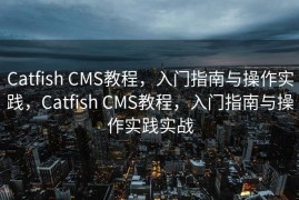 Catfish CMS教程，入门指南与操作实践，Catfish CMS教程，入门指南与操作实践实战