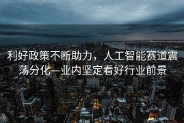 利好政策不断助力，人工智能赛道震荡分化—业内坚定看好行业前景