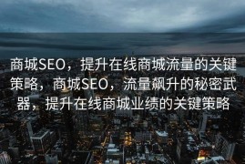 商城SEO，提升在线商城流量的关键策略，商城SEO，流量飙升的秘密武器，提升在线商城业绩的关键策略