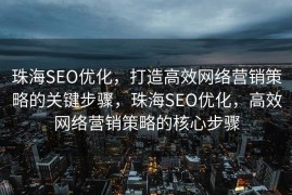 珠海SEO优化，打造高效网络营销策略的关键步骤，珠海SEO优化，高效网络营销策略的核心步骤