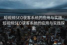 短视频SEO获客系统的应用与实践，短视频SEO获客系统的应用与实践探索