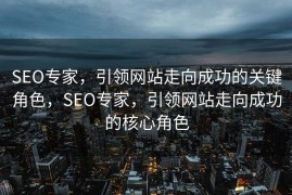 SEO专家，引领网站走向成功的关键角色，SEO专家，引领网站走向成功的核心角色