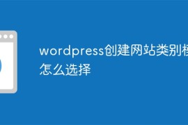 wordpress创建网站类别模块怎么选择