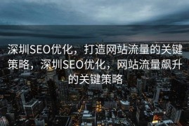 深圳SEO优化，打造网站流量的关键策略，深圳SEO优化，网站流量飙升的关键策略