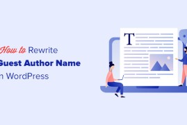如何在 WordPress 中使用自定义字段重写来宾作者姓名