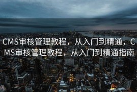 CMS审核管理教程，从入门到精通，CMS审核管理教程，从入门到精通指南
