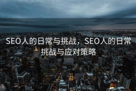 SEO人的日常与挑战，SEO人的日常挑战与应对策略