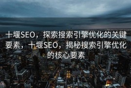 十堰SEO，探索搜索引擎优化的关键要素，十堰SEO，揭秘搜索引擎优化的核心要素