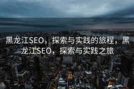 黑龙江SEO，探索与实践的旅程，黑龙江SEO，探索与实践之旅