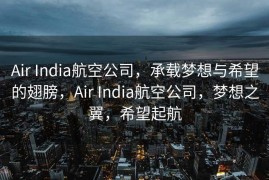 Air India航空公司，承载梦想与希望的翅膀，Air India航空公司，梦想之翼，希望起航
