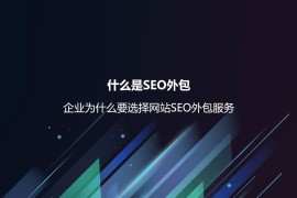 什么是SEO外包？企业为什么要选择网站SEO外包服务-2025最新seo资料