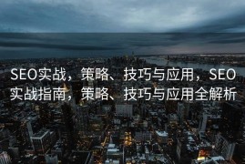 SEO实战，策略、技巧与应用，SEO实战指南，策略、技巧与应用全解析