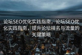 论坛SEO优化实践指南，论坛SEO优化实践指南，提升论坛排名与流量的关键策略
