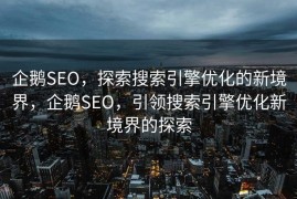 企鹅SEO，探索搜索引擎优化的新境界，企鹅SEO，引领搜索引擎优化新境界的探索