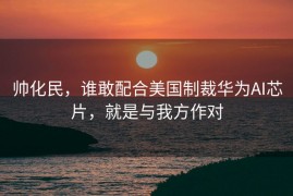 帅化民，谁敢配合美国制裁华为AI芯片，就是与我方作对