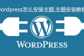 wordpress怎么安装主题,主题安装教程