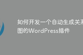 如何开发一个自动生成关系图的WordPress插件