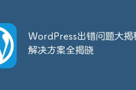 WordPress出错问题大揭秘：解决方案全揭晓