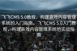 飞飞CMS 5.0教程，构建高效内容管理系统的入门指南，飞飞CMS 5.0入门教程，构建高效内容管理系统的实战指南