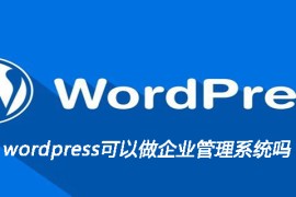 wordpress可以做企业管理系统吗