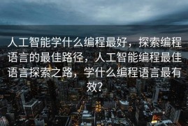 人工智能学什么编程最好，探索编程语言的最佳路径，人工智能编程最佳语言探索之路，学什么编程语言最有效？