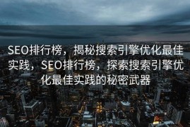 SEO排行榜，揭秘搜索引擎优化最佳实践，SEO排行榜，探索搜索引擎优化最佳实践的秘密武器