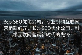 长沙SEO优化公司，专业引领互联网营销新纪元，长沙SEO优化公司，引领互联网营销新时代的先锋