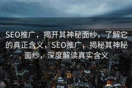 SEO推广，揭开其神秘面纱，了解它的真正含义，SEO推广，揭秘其神秘面纱，深度解读真实含义