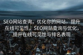 SEO网站查询，优化你的网站，提升在线可见性，SEO网站查询与优化，提升在线可见性与排名表现