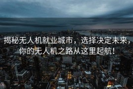 揭秘无人机就业城市，选择决定未来，你的无人机之路从这里起航！