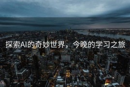 探索AI的奇妙世界，今晚的学习之旅