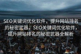 SEO关键词优化软件，提升网站排名的秘密武器，SEO关键词优化软件，提升网站排名的秘密武器全解析