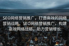SEO网络营销推广，打造高效的网络营销战略，SEO网络营销推广，构建高效网络战略，助力营销增长