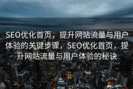 SEO优化首页，提升网站流量与用户体验的关键步骤，SEO优化首页，提升网站流量与用户体验的秘诀