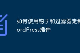 如何使用钩子和过滤器定制WordPress插件
