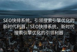SEO快排系统，引领搜索引擎优化的新时代利器，SEO快排系统，新时代搜索引擎优化的引领利器