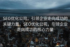 SEO优化公司，引领企业走向成功的关键力量，SEO优化公司，引领企业走向成功的核心力量