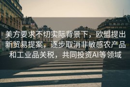 美方要求不切实际背景下，欧盟提出新贸易提案，逐步取消非敏感农产品和工业品关税，共同投资AI等领域