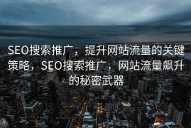 SEO搜索推广，提升网站流量的关键策略，SEO搜索推广，网站流量飙升的秘密武器