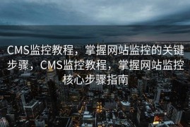 CMS监控教程，掌握网站监控的关键步骤，CMS监控教程，掌握网站监控核心步骤指南