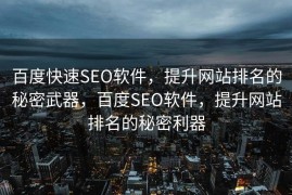 百度快速SEO软件，提升网站排名的秘密武器，百度SEO软件，提升网站排名的秘密利器