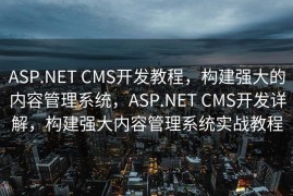 ASP.NET CMS开发教程，构建强大的内容管理系统，ASP.NET CMS开发详解，构建强大内容管理系统实战教程