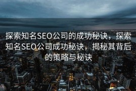 探索知名SEO公司的成功秘诀，探索知名SEO公司成功秘诀，揭秘其背后的策略与秘诀