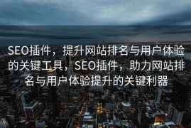 SEO插件，提升网站排名与用户体验的关键工具，SEO插件，助力网站排名与用户体验提升的关键利器