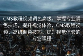 CMS教程视频调色高级，掌握专业调色技巧，提升视觉体验，CMS教程视频，高级调色技巧，提升视觉体验的专业课程