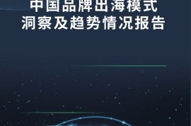 雨果跨境：中国品牌出海模式洞察及趋势情况报告-2025最新seo资料