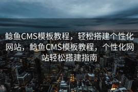 鲶鱼CMS模板教程，轻松搭建个性化网站，鲶鱼CMS模板教程，个性化网站轻松搭建指南