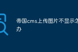 帝国cms上传图片不显示怎么办