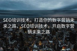 SEO培训技术，打造你的数字营销未来之路，SEO培训技术，开启数字营销未来之路